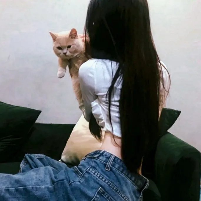 妖怪学校的新人教师